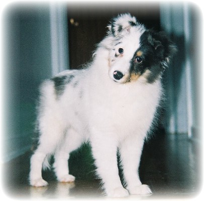 Fant�me approaching five months old