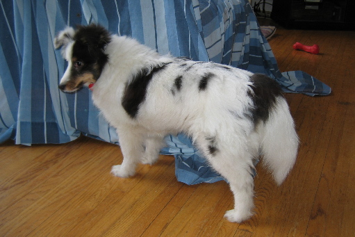Fant�me at 6 months