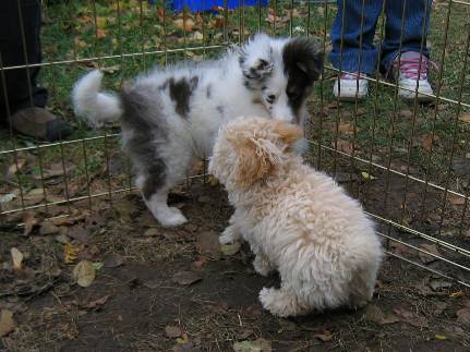 Fant�me and Farley