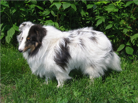 Fant�me at 10 months