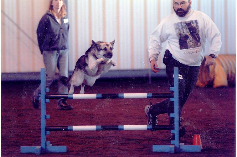 Fouine Jumping