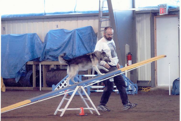 Fouine doing the seesaw