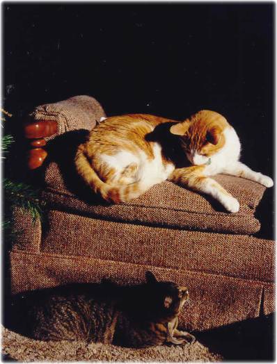Kitchouch & Missy