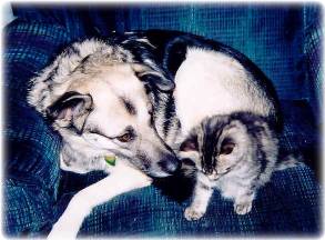 Fouine & Mrs Kitty