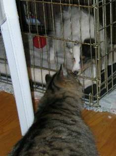 Fant�me and Mrs Kitty