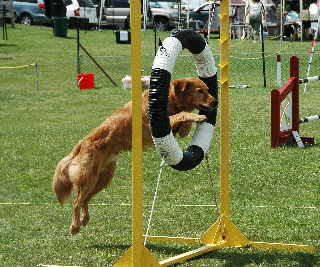 Pip - June 24 2005
